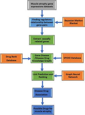 An Integrative Network Science and Artificial Intelligence Drug Repurposing Approach for Muscle Atrophy in Spaceflight Microgravity